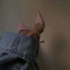 nour.manella2