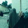 syahajaa17
