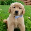 charlieboyunleashed