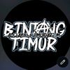IG . pass_timur76