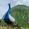angelito.tandugon