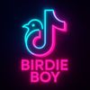 birdie_boy_