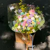 lehoangngochan08