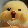 itscalibaby19