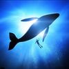 BluePlanetNow