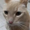 ___lyi___