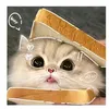 hanna_26628