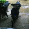 tr.vit.quang