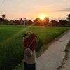 bunga.tulip_26