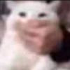 scp_hot