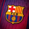 wilmer.anigol