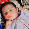 king295462