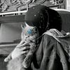 user8327252986005