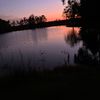 brayden_9106