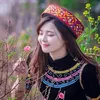 Thảo dược quy8
