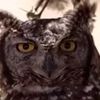 axmad.cabdi.cawke7