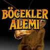 Böcekler Alemi