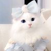 user7926814206190