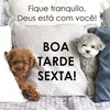 eliaspereira4653