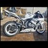 kingpin7509