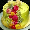 cakebyhaven