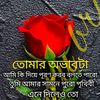 saju.saju685
