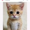 funnyfilters1234