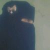 user5908087432798