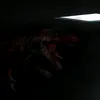 eznxx