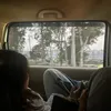 morfilynmm
