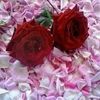 user6502842206162
