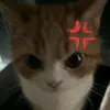 haizyluvsuuu