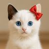BoonG