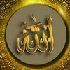 user8753686367359