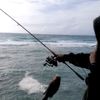 sobat angler🎣