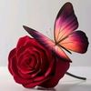 rohi88973