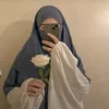 m_alz29