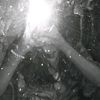 noe.noe0977