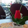 wahid.cazagmail.c