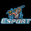 esport11