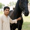 mahar.rizwan2011