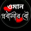 user53178120291878