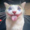 neko.neko04