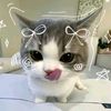 aliaahossam55