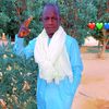 adam.hassan7833