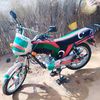 umar44019