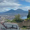 fernando.trafican7