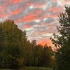 rowen_53