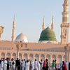 muhammadumar4158012