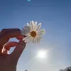 elena._.006